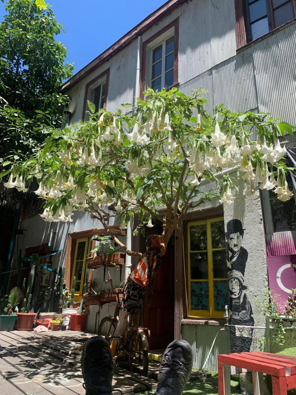 Art Hostel Casa Chaman Valparaíso Buitenkant foto